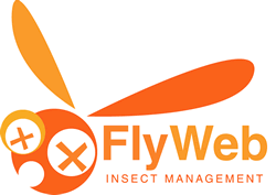 FlyWeb fly web wall outlet insect light trap