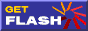 Get the Flash Player